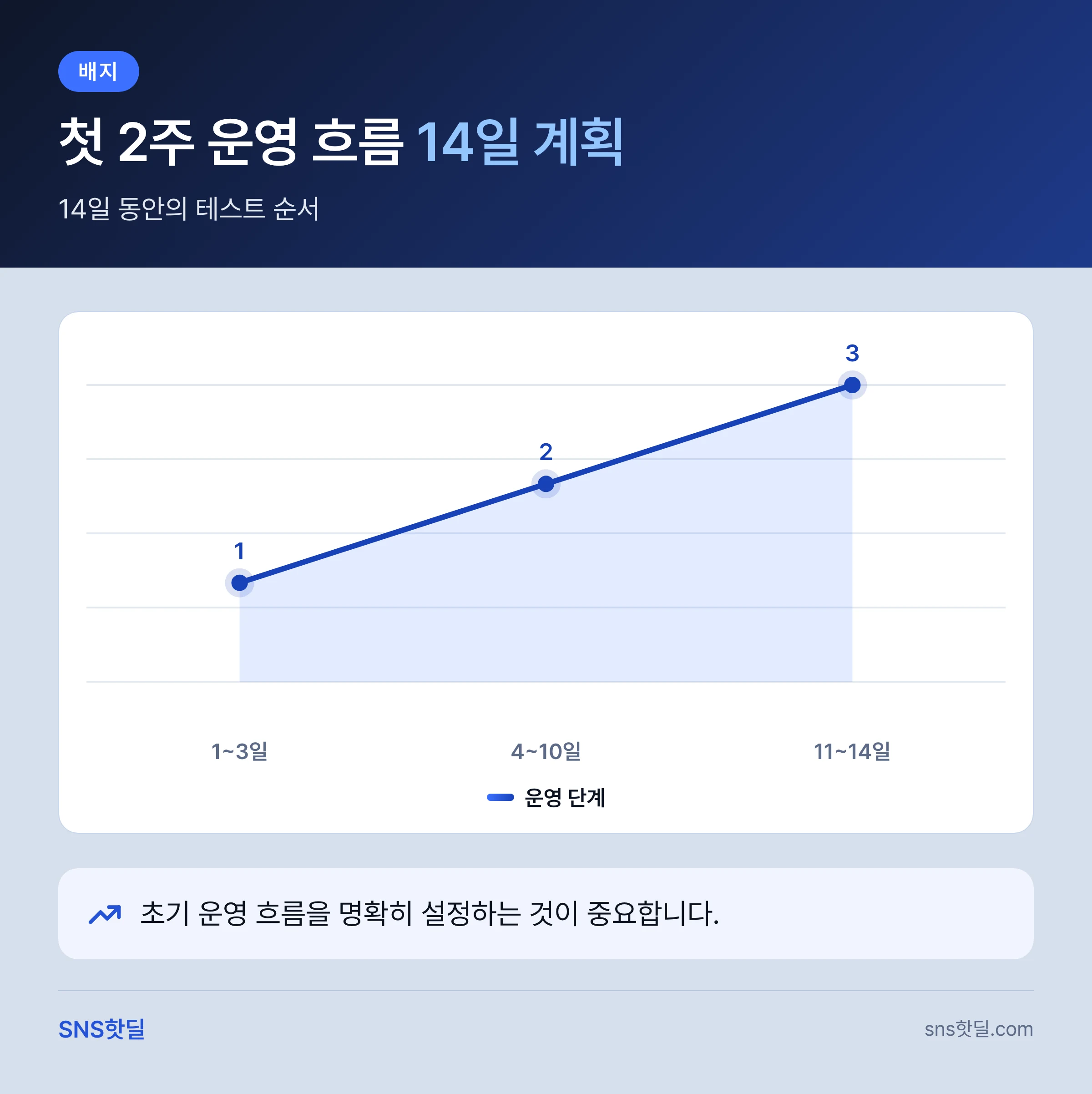 스레드 마케팅 서비스 고르는 기준, 첫 2주 점검 순서 핵심 정리 인포그래픽