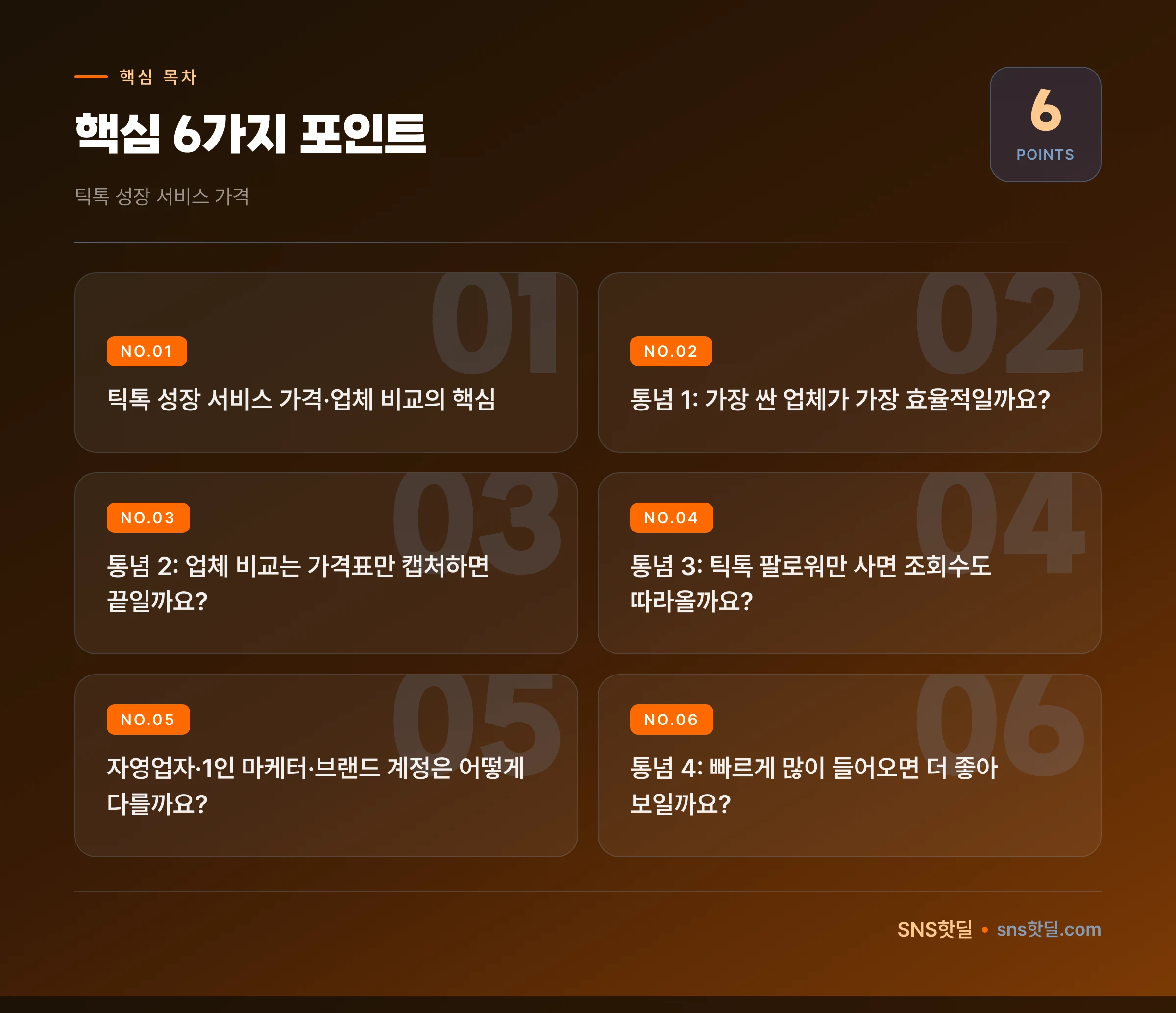 틱톡 성장 서비스 가격·업체 비교 5단계 점검 순서 핵심 포인트 인포그래픽