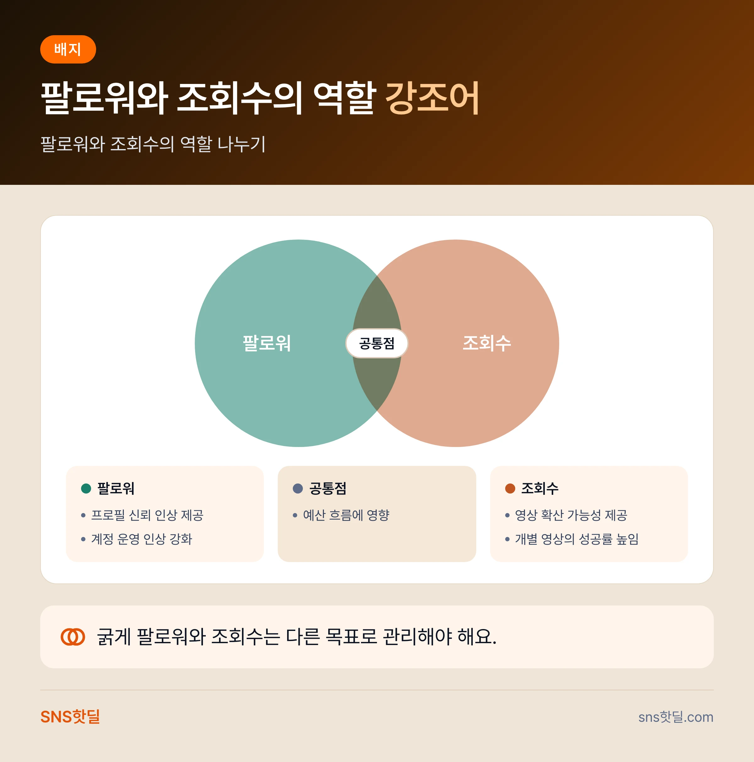 틱톡 성장 서비스 가격·업체 비교 5단계 점검 순서 핵심 정리 인포그래픽