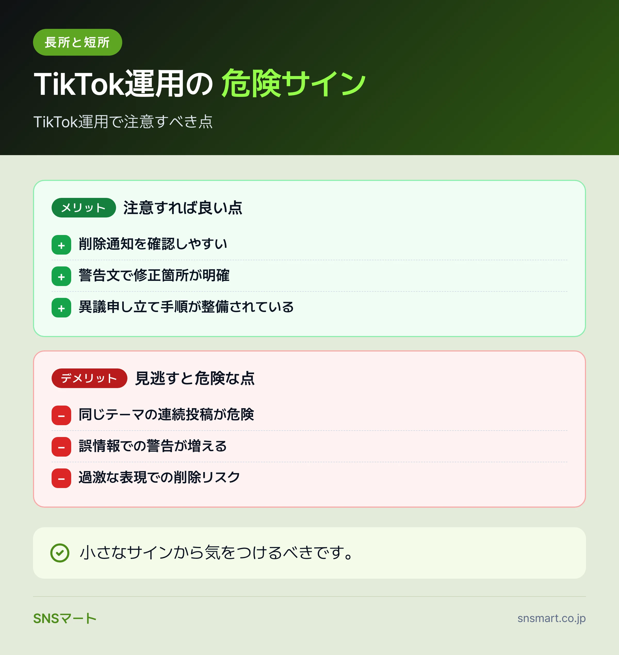 一人運用者が知るTikTok アカウントBANの理由と対策 まとめイラスト