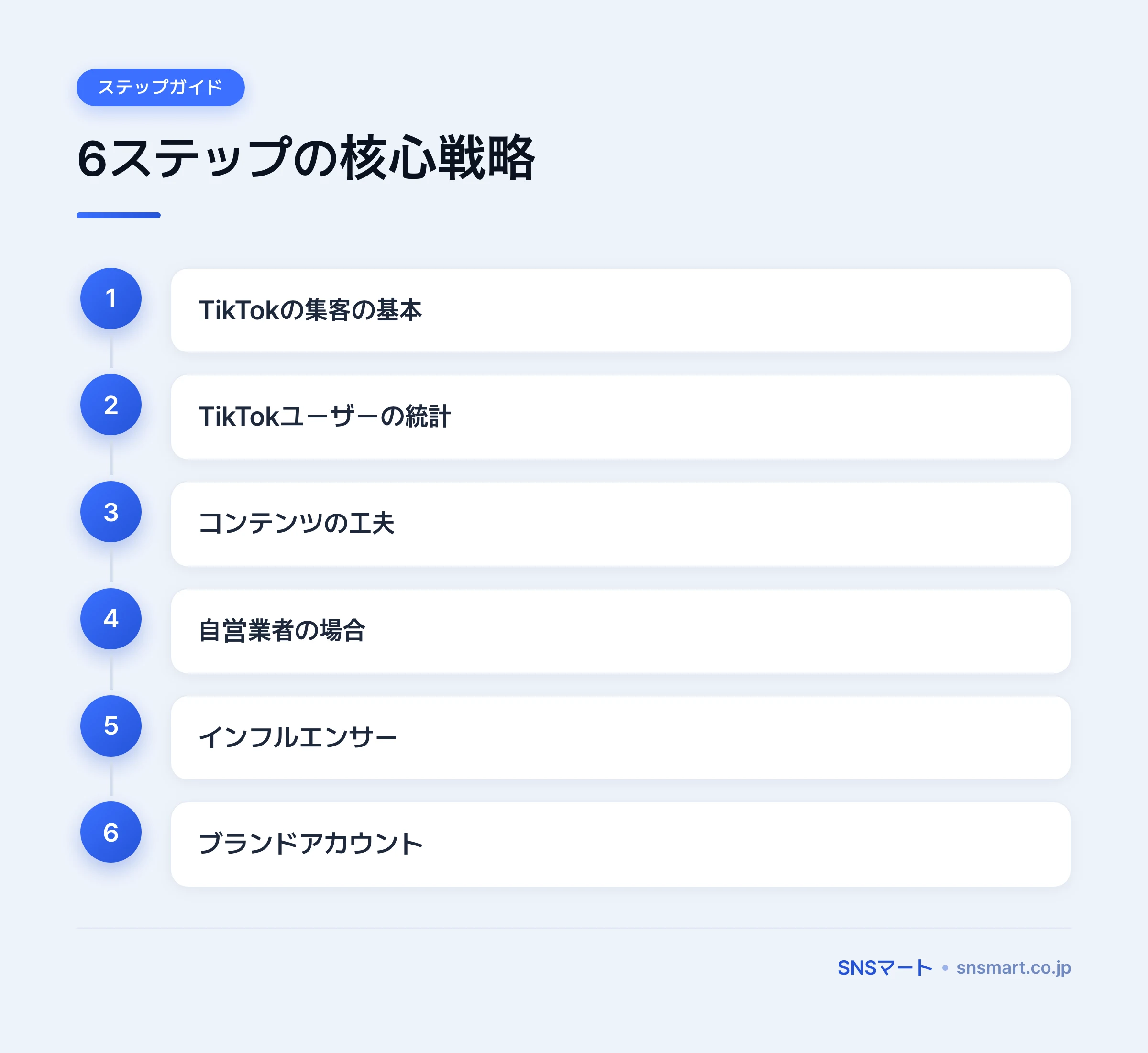 TikTokでの集客とビジネス活用ガイド2026 概要イラスト