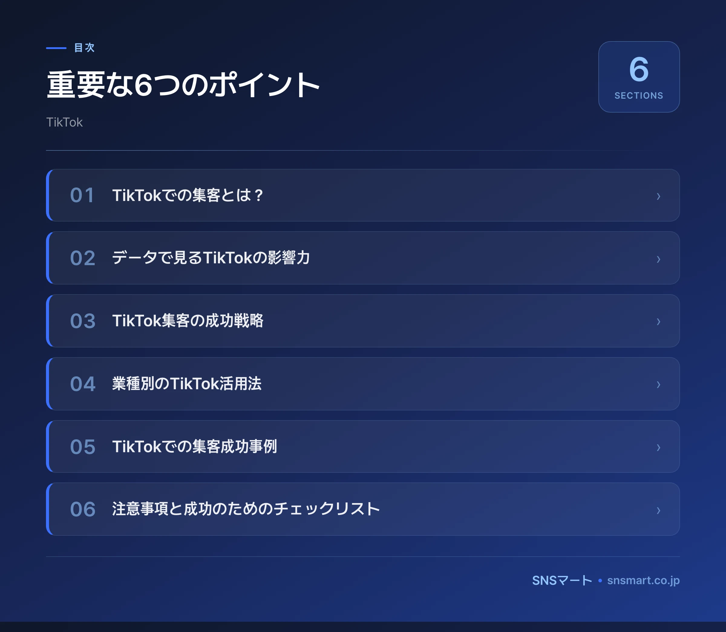 TikTokでの集客とビジネス活用ガイド2026 ポイントイラスト