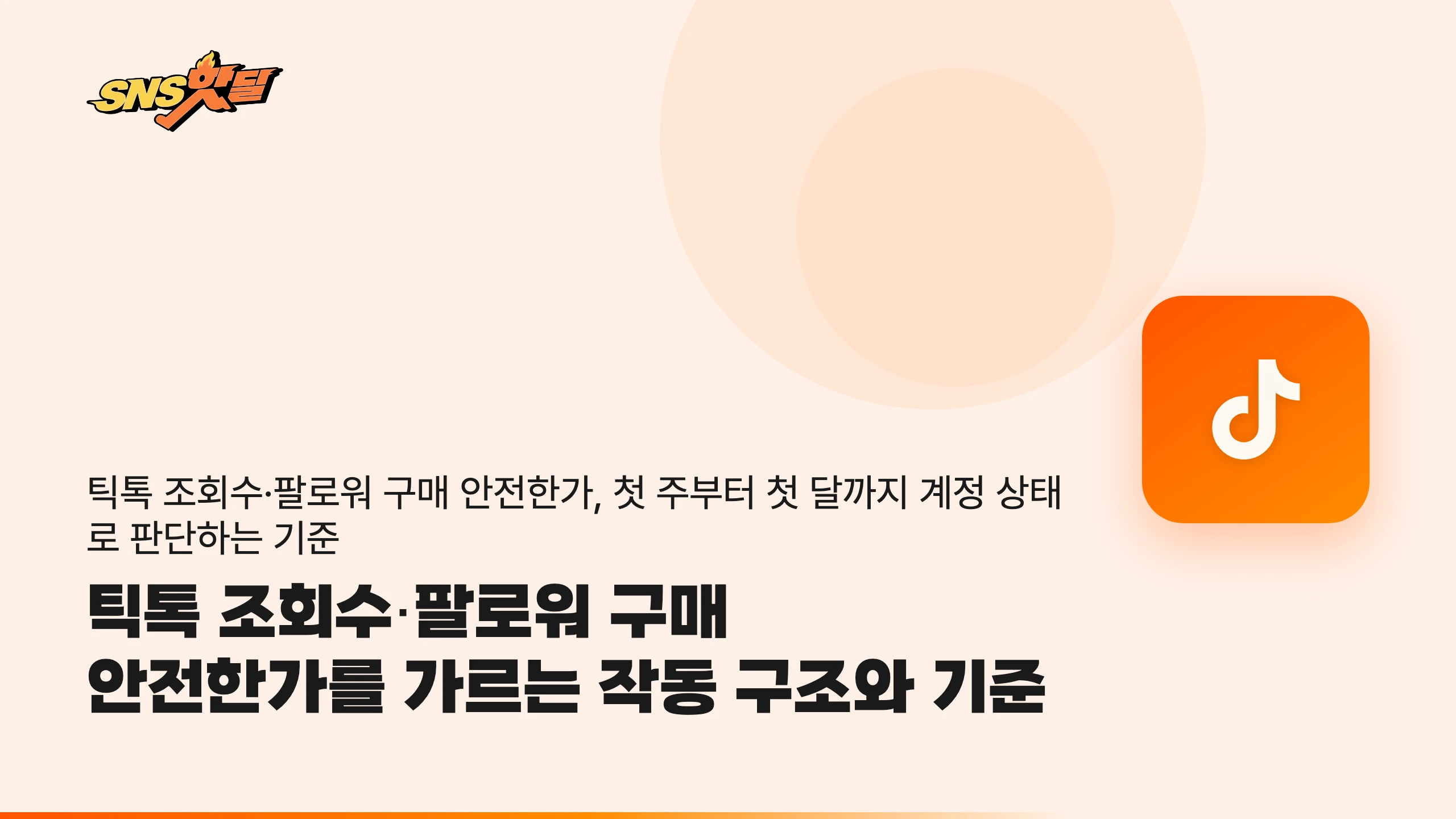 틱톡 조회수·팔로워 구매 안전한가를 가르는 작동 구조와 기준