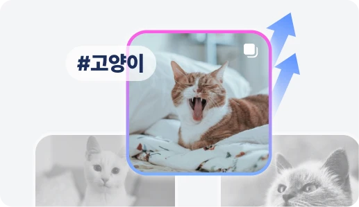 인스타그램 노하우 아이콘